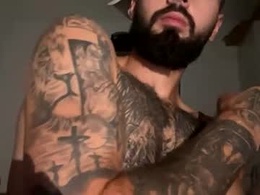 andreidenis23