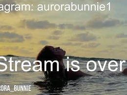 aurora_bunnie