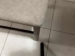 bibigcock83