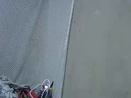 bigclit_wethairypus