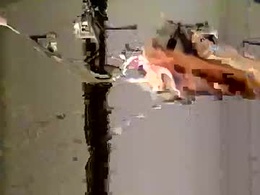 bigdaddydongarlets391292