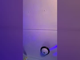 buckynscotty26