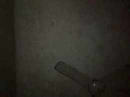 bunjiboy