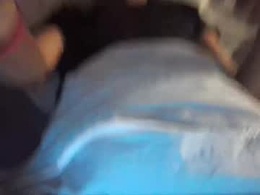 canelofox