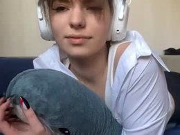 corrienavanjo
