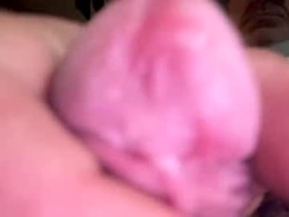 curicat69
