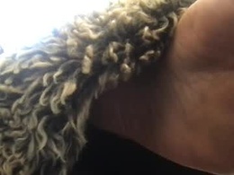 daddydivinedanielle