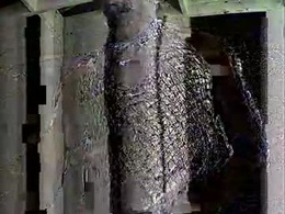 djceasar