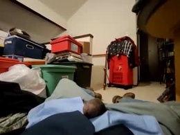 freddyalready