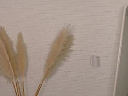 ginnyv1ce