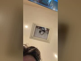 huskyz1