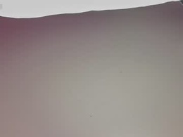 irisbeel_