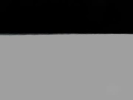 ivysekxi