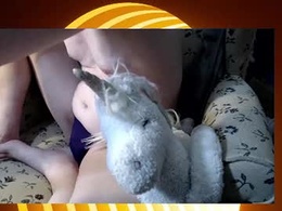 kittiwithwings