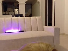 little_sussy9