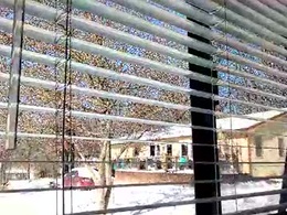 markymarkmarkymarkmarky