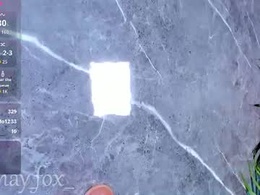 mayfox06