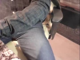 paulja