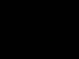 pp3568