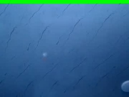 saraxxx_4u