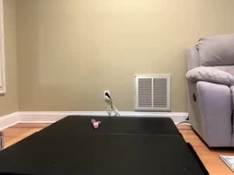 sexypiglet2728