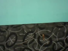 sexytamara16