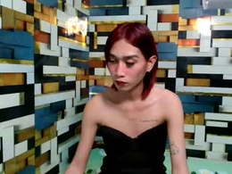 sexywildshow