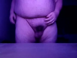 si20447983