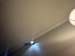 strawberrishortcake1