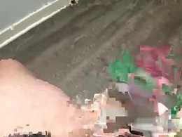 theeslyfox
