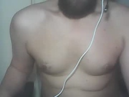 transyfansy