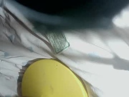 viggiviggilucas