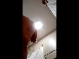 wildrideforprincess69