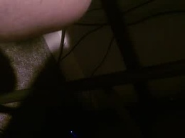 xxxfirebirdxxx69