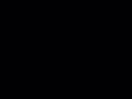 zeekhighfrog